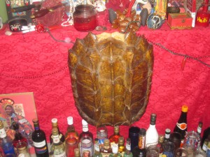 I love a turtle shell... and booze.