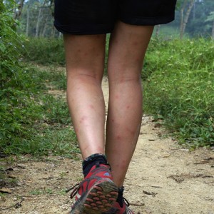 Your legs - and everything else -  will look like this