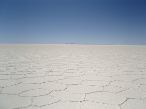 The Salt Lake. Photo courtesy of Ronan Crowley
