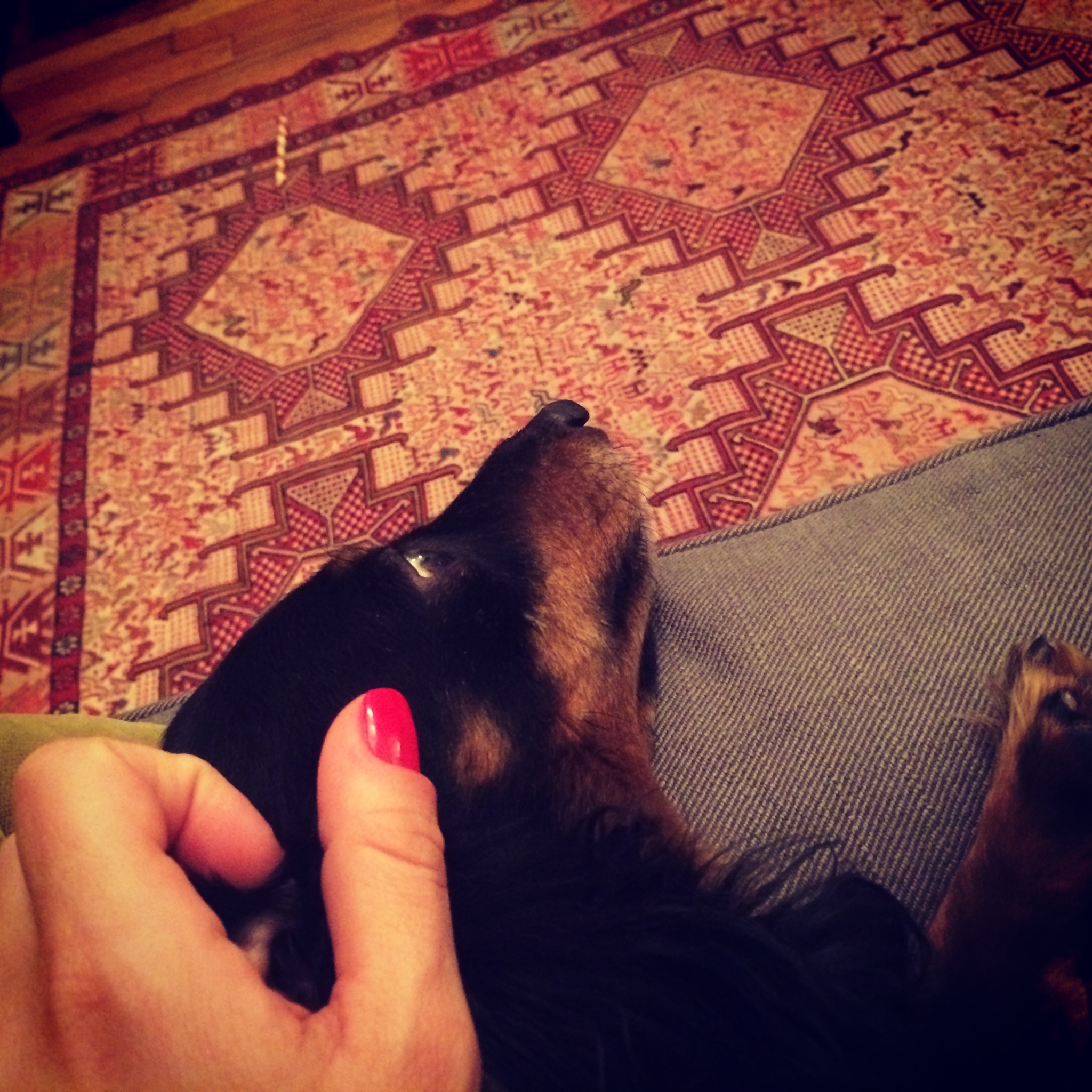 Back with baby - all's right with the world.
